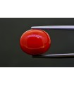 9.05 cts Natural Coral (Moonga)