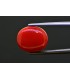 9.05 cts Natural Coral - Moonga (SKU:90156298)