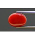 5.93 cts Natural Coral - Moonga (SKU:90158261)