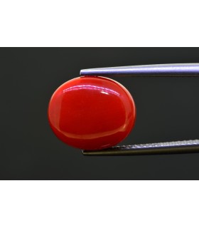 9.05 cts Natural Coral - Moonga (SKU:90156298)