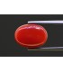 5.35 cts Natural Coral - Moonga (SKU:90158278)