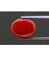 5.82 cts Natural Coral - Moonga (SKU:90158308)
