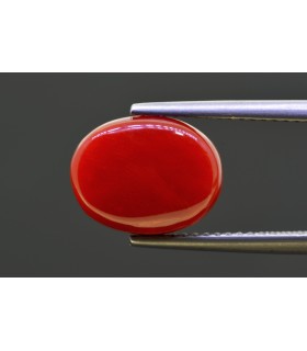 5.82 cts Natural Coral - Moonga (SKU:90158308)