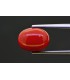 5.36 cts Natural Coral (Moonga)