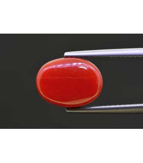 5.36 cts Natural Coral - Moonga (SKU:90158315)