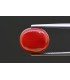 5.05 cts Natural Coral - Moonga (SKU:90158322)