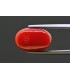 6.71 cts Natural Coral - Moonga (SKU:90158377)