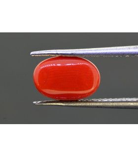 3.47 cts Natural Coral - Moonga (SKU:90150784)