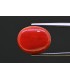 8.72 cts Natural Coral - Moonga (SKU:90158414)