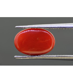 3.37 cts Natural Coral - Moonga (SKU:90150807)