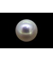 4.85 cts Cultured Pearl (Moti)