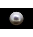 5.55 cts Cultured Pearl (Moti)