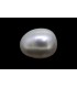 2.73 cts Cultured Pearl (Moti)