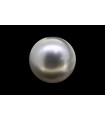 2.4 cts Cultured Pearl (Moti)