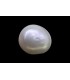 8.12 cts Cultured Pearl - Moti (SKU:90151224)