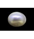 15.3 cts Cultured Pearl (Moti)