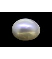 15.3 cts Cultured Pearl (Moti)