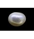 15.3 cts Cultured Pearl - Moti (SKU:90151231)