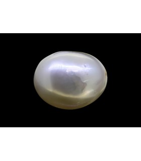 15.3 cts Cultured Pearl - Moti (SKU:90151231)