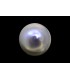 11.8 cts Cultured Pearl - Moti (SKU:90151248)