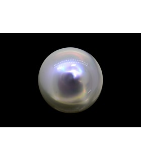 11.8 cts Cultured Pearl - Moti (SKU:90151248)