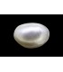 12.76 cts Cultured Pearl (Moti)