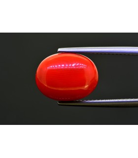 7.75 cts Natural Coral (Moonga)