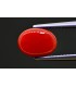 3.48 cts Natural Coral - Moonga (SKU:90159237)