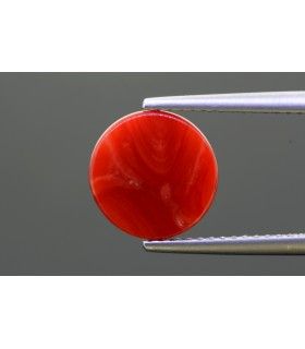 3.14 cts Natural Coral - Moonga (SKU:90149320)