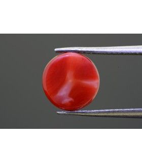 3.14 cts Natural Coral - Moonga (SKU:90149375)