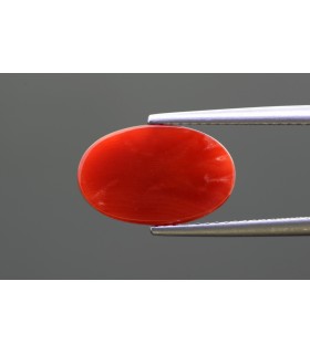 3.78 cts Natural Coral - Moonga (SKU:90149405)