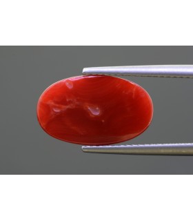 5.23 cts Natural Coral - Moonga (SKU:90149481)