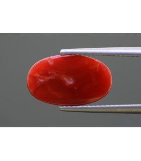 5.23 cts Natural Coral - Moonga (SKU:90149481)