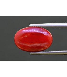 8.44 cts Natural Coral - Moonga (SKU:90149634)