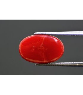 6.89 cts Natural Coral - Moonga (SKU:90149696)