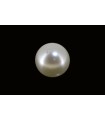 3.63 cts Cultured Pearl (Moti)