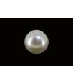 3.63 cts Cultured Pearl (Moti)