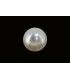 3.56 cts Cultured Pearl (Moti)