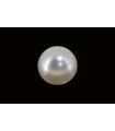 3.56 cts Cultured Pearl (Moti)