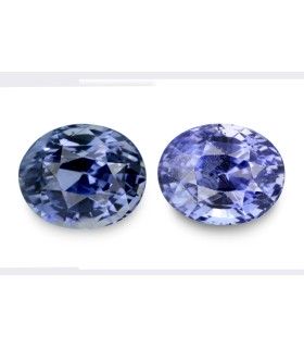 12.66 cts Unheated Natural Blue Sapphire (Neelam) - Earring Pair