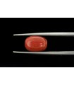 4.98 cts Natural Hessonite Garnet (Gomedh)