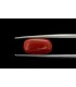 5.76 cts Natural Hessonite Garnet (Gomedh)