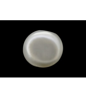 1.04 cts Natural Pearl - Moti (SKU:90068645)