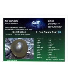 1.04 cts Natural Pearl - Moti (SKU:90068645)
