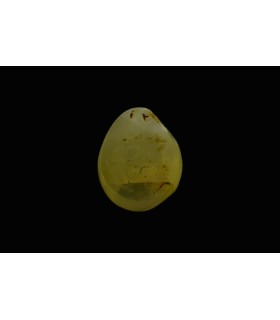 2.94 cts Unheated Natural Blue Sapphire (Neelam)