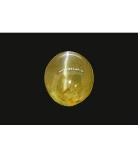 1.37 cts Natural Cats Eye (Lehsunia)