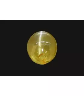 1.37 cts Natural Cats Eye (Lehsunia)