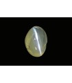 2.54 cts Natural Cats Eye (Lehsunia)