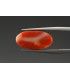 2.84 cts Unheated Natural Yellow Sapphire (Pukhraj)
