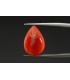 3.69 cts Natural Coral - Moonga (SKU:90075988)